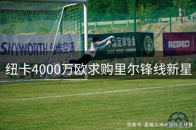 纽卡4000万欧求购里尔锋线新星 帕尔多转会拉锯战升级